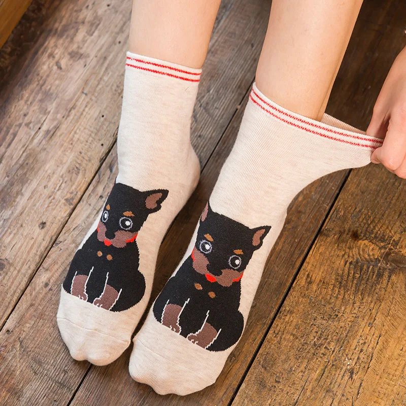 5 Pairs Fashion Colorful Kawaii Cute Cartoon Cotton Women Socks 5 Pairs Fashion Colorful Kawaii Cute Cartoon Cotton Women Socks