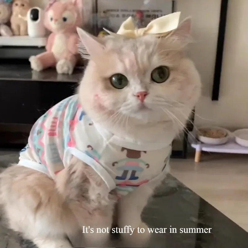 Pet Clothes Golden Gradient Anti-Shedding Vest Cat & Puppy Summer Tank Top Lightweight Breathable All-Season Dog Cat Vest