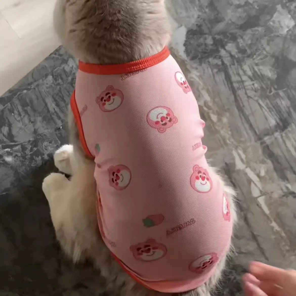 Pet Clothes Golden Gradient Anti-Shedding Vest Cat & Puppy Summer Tank Top Lightweight Breathable All-Season Dog Cat Vest