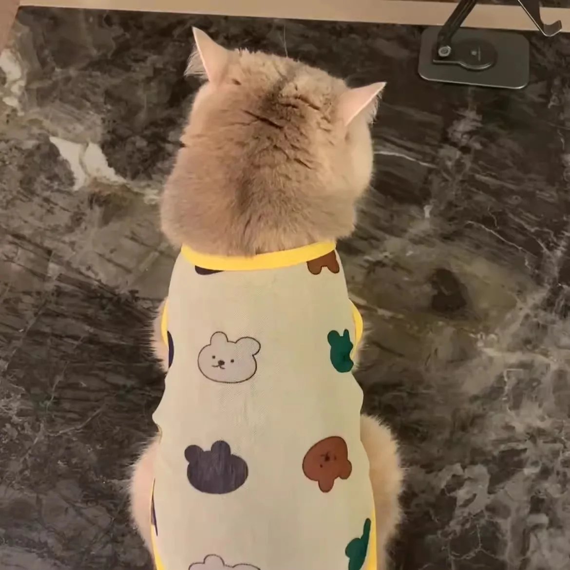 Pet Clothes Golden Gradient Anti-Shedding Vest Cat & Puppy Summer Tank Top Lightweight Breathable All-Season Dog Cat Vest