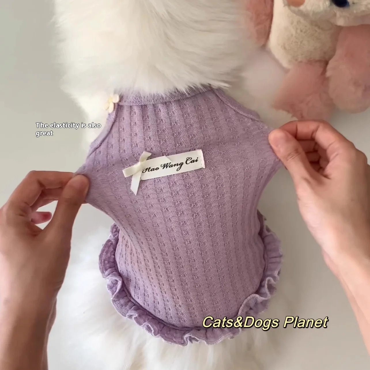 Spring and Summer New Pet Anti Shedding Fur Dog Cat Vest Waffle Breathable Clothing Necklace Set Gold Gradient Cat, Cat Sling