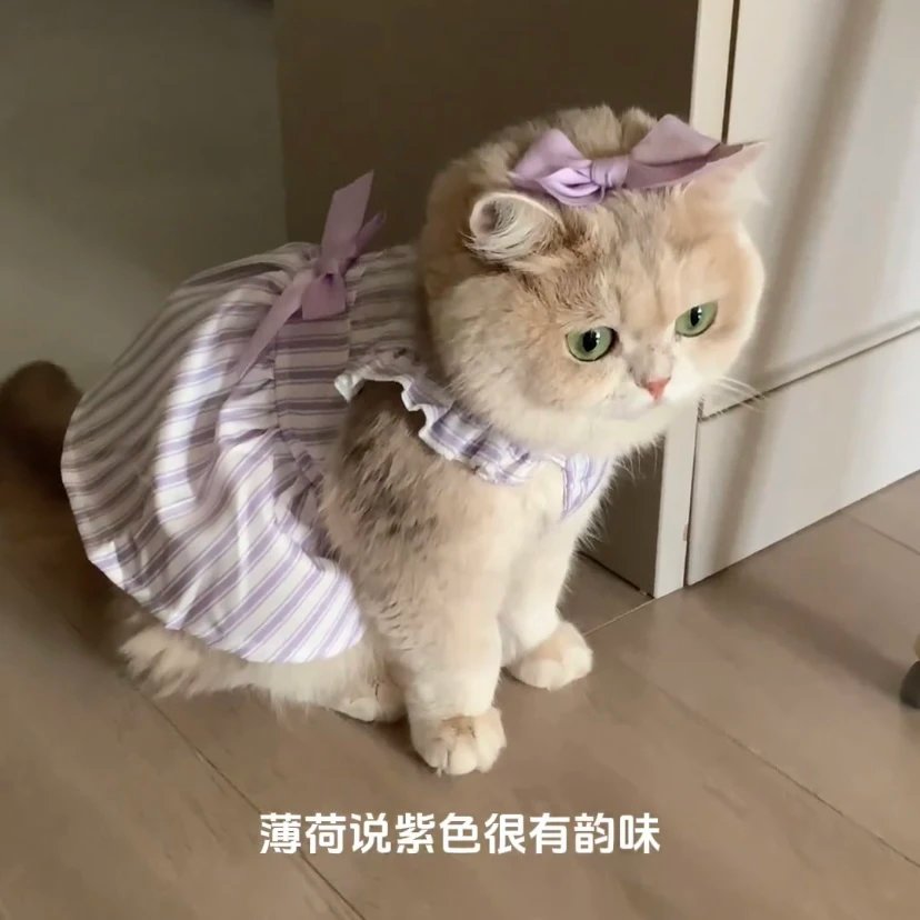 Cat Clothes Summer Princess Dress for Persian Cat Siamese Kitten Platinum Gradual Layer Purple Skirt Dress Cute Cat Outfit