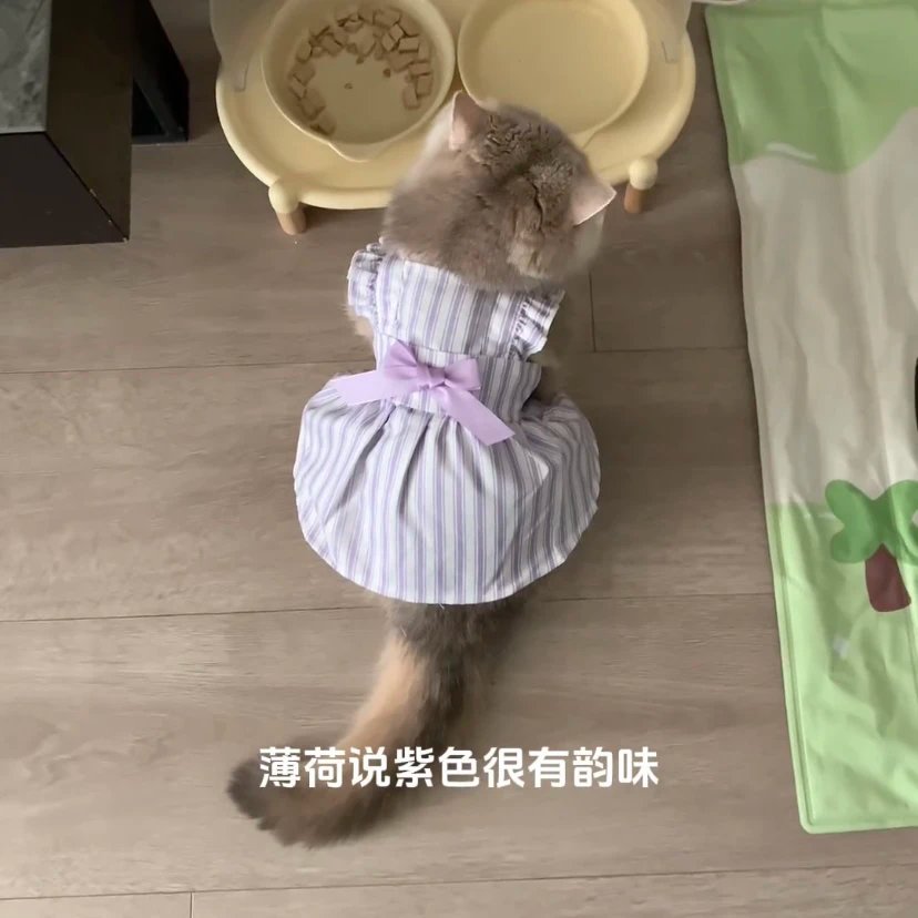 Cat Clothes Summer Princess Dress for Persian Cat Siamese Kitten Platinum Gradual Layer Purple Skirt Dress Cute Cat Outfit