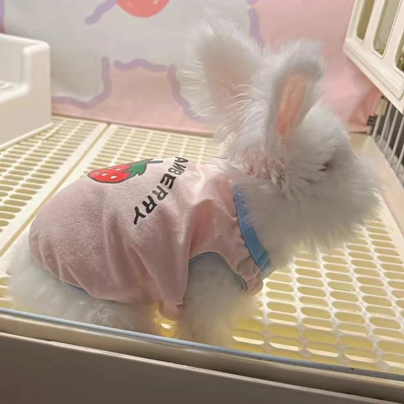 Soft Breathable Rabbit Vest Summer Pet Clothes for Cats Rabbits Cute Print Bunny Sleeveless Vest Animals Clothing Pets Products