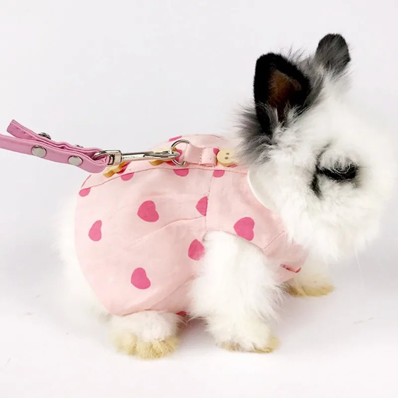Cute Rabbit Leash and Harness Set Escape Proof Cute Clothes Walking Vest Knitted Bag Tiny Hat for Ferret Guinea Pig Hedgehog Cute Rabbit Leash and Harness Set Escape Proof Cute Clothes Walking Vest Knitted Bag Tiny Hat for Ferret Guinea Pig Hedgehog