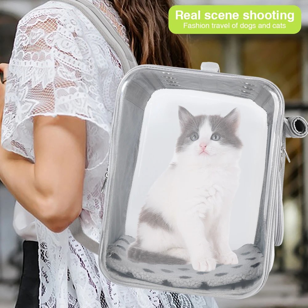 Folding Portable Double-Sided Clear Cat Backpack for Cats and Puppies, Pet Travel Bag, Double-Sided Clear Window Pet Bag