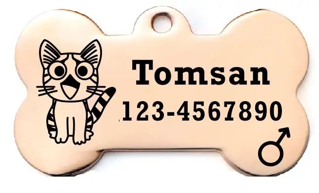 Pet Cat ID Tag Free Engraving Kitten ID Tag  Accessories Stainless Steel Tags Message Puppy Custom Collars Products Pet Supplies
