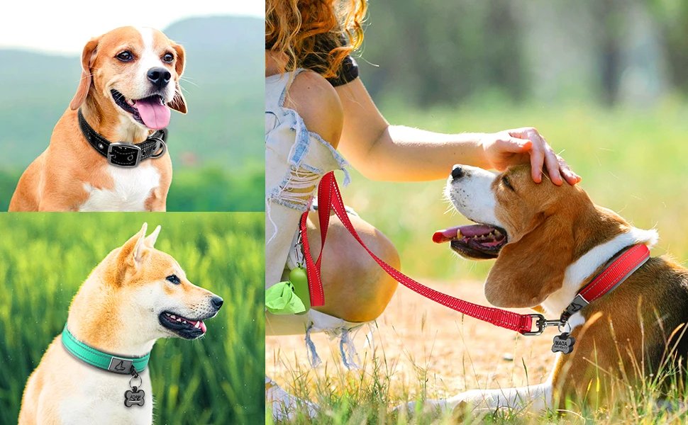 Solid Dog Collars Nylon Dog Collar For Small Medium Large Dogs Teddy Keji Pitbull Bulldog Beagle Solid Dog Collars Nylon Dog Collar For Small Medium Large Dogs Teddy Keji Pitbull Bulldog Beagle