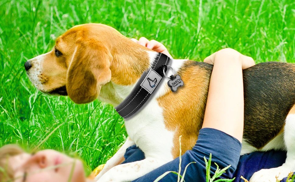 Solid Dog Collars Nylon Dog Collar For Small Medium Large Dogs Teddy Keji Pitbull Bulldog Beagle Solid Dog Collars Nylon Dog Collar For Small Medium Large Dogs Teddy Keji Pitbull Bulldog Beagle