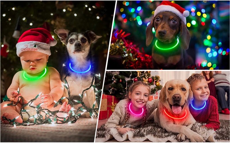 Luminous Dog Collar Light Charge Cat Necklace, Led Fashion Flashing DIY Glowing Safety Collar for Dogs Nighttime Pet Accessorie Luminous Dog Collar Light Charge Cat Necklace, Led Fashion Flashing DIY Glowing Safety Collar for Dogs Nighttime Pet Accessorie