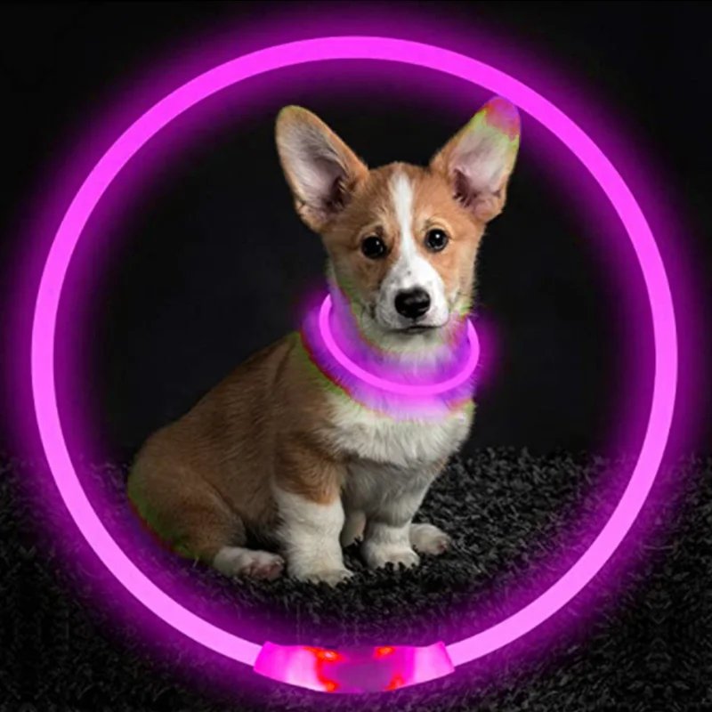 Luminous Dog Collar Light Charge Cat Necklace, Led Fashion Flashing DIY Glowing Safety Collar for Dogs Nighttime Pet Accessorie Luminous Dog Collar Light Charge Cat Necklace, Led Fashion Flashing DIY Glowing Safety Collar for Dogs Nighttime Pet Accessorie