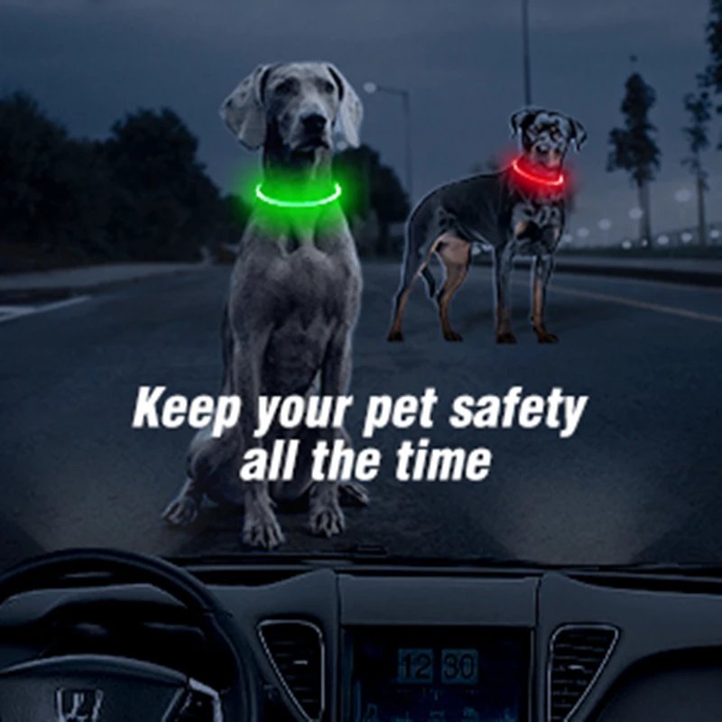 Luminous Dog Collar Light Charge Cat Necklace, Led Fashion Flashing DIY Glowing Safety Collar for Dogs Nighttime Pet Accessorie Luminous Dog Collar Light Charge Cat Necklace, Led Fashion Flashing DIY Glowing Safety Collar for Dogs Nighttime Pet Accessorie