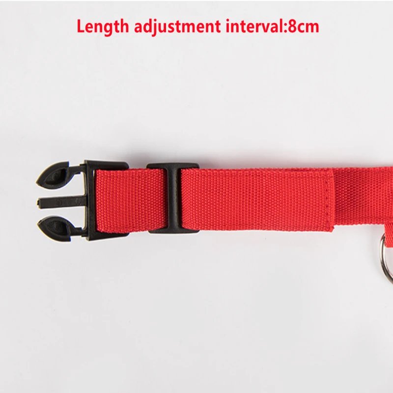 3 Modes Dog Luminous Charge Collar Led Usb Cat Dogs Collars Detachable Night Led Glow Dog Loss Prevention Collar Pet Accessories 3 Modes Dog Luminous Charge Collar Led Usb Cat Dogs Collars Detachable Night Led Glow Dog Loss Prevention Collar Pet Accessories