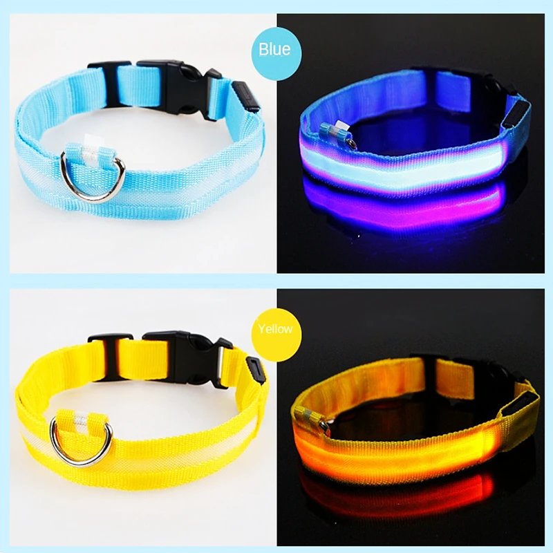 3 Modes Dog Luminous Charge Collar Led Usb Cat Dogs Collars Detachable Night Led Glow Dog Loss Prevention Collar Pet Accessories 3 Modes Dog Luminous Charge Collar Led Usb Cat Dogs Collars Detachable Night Led Glow Dog Loss Prevention Collar Pet Accessories
