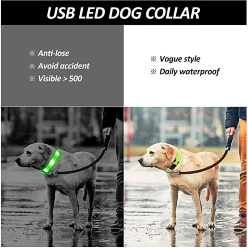 3 Modes Dog Luminous Charge Collar Led Usb Cat Dogs Collars Detachable Night Led Glow Dog Loss Prevention Collar Pet Accessories 3 Modes Dog Luminous Charge Collar Led Usb Cat Dogs Collars Detachable Night Led Glow Dog Loss Prevention Collar Pet Accessories