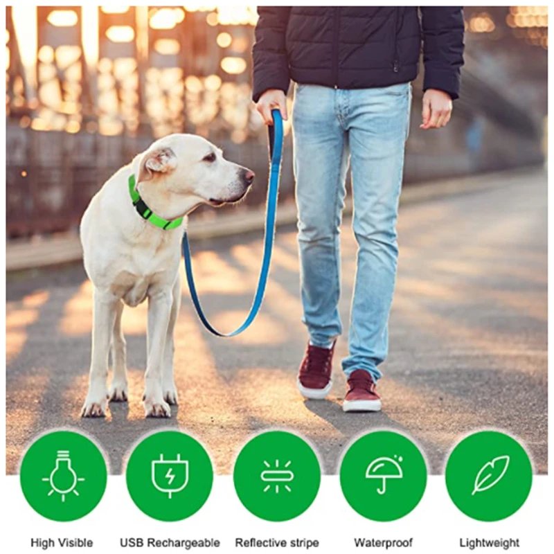 3 Modes Dog Luminous Charge Collar Led Usb Cat Dogs Collars Detachable Night Led Glow Dog Loss Prevention Collar Pet Accessories 3 Modes Dog Luminous Charge Collar Led Usb Cat Dogs Collars Detachable Night Led Glow Dog Loss Prevention Collar Pet Accessories