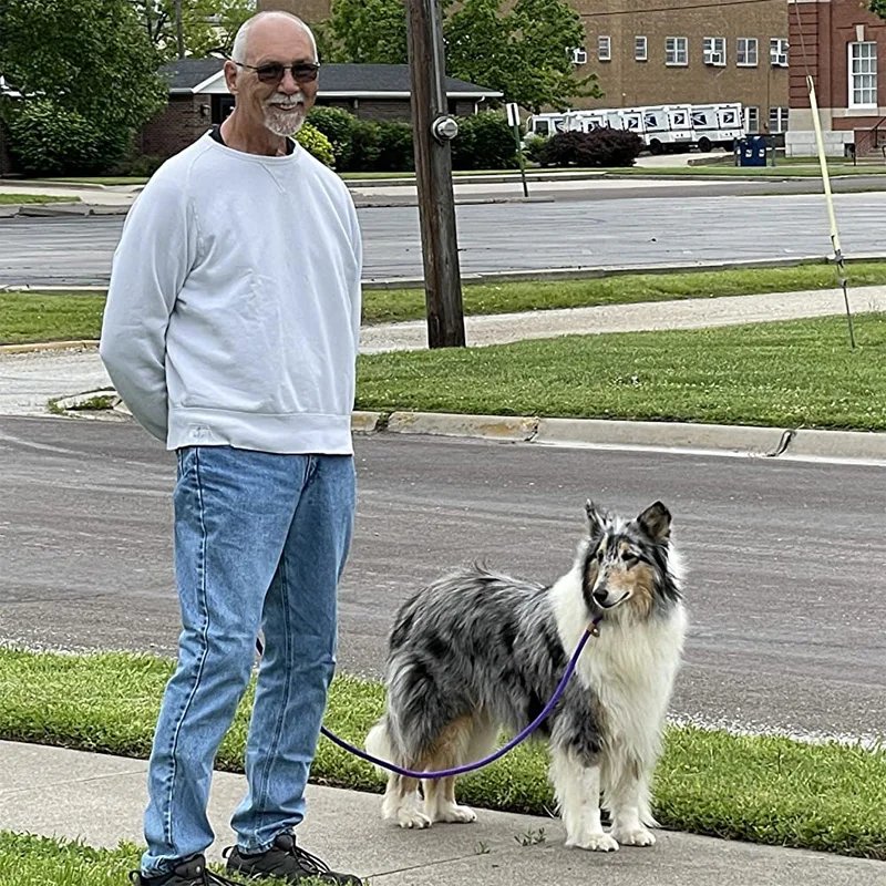 Dog Collar Slip Lead Dog Leash Nylon Solid Rope Leash Adjustable No Pull Training Dog Leash Medium And Large Dogs Pet Leashes Dog Collar Slip Lead Dog Leash Nylon Solid Rope Leash Adjustable No Pull Training Dog Leash Medium And Large Dogs Pet Leashes