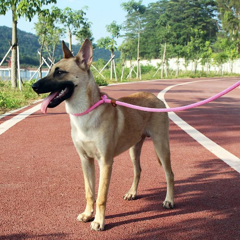 Dog Collar Slip Lead Dog Leash Nylon Solid Rope Leash Adjustable No Pull Training Dog Leash Medium And Large Dogs Pet Leashes Dog Collar Slip Lead Dog Leash Nylon Solid Rope Leash Adjustable No Pull Training Dog Leash Medium And Large Dogs Pet Leashes
