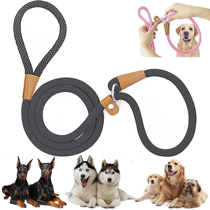 Dog Collar Slip Lead Dog Leash Nylon Solid Rope Leash Adjustable No Pull Training Dog Leash Medium And Large Dogs Pet Leashes Dog Collar Slip Lead Dog Leash Nylon Solid Rope Leash Adjustable No Pull Training Dog Leash Medium And Large Dogs Pet Leashes