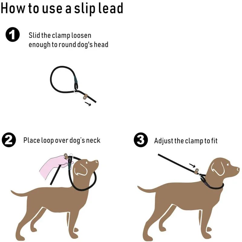 Dog Collar Slip Lead Dog Leash Nylon Solid Rope Leash Adjustable No Pull Training Dog Leash Medium And Large Dogs Pet Leashes Dog Collar Slip Lead Dog Leash Nylon Solid Rope Leash Adjustable No Pull Training Dog Leash Medium And Large Dogs Pet Leashes