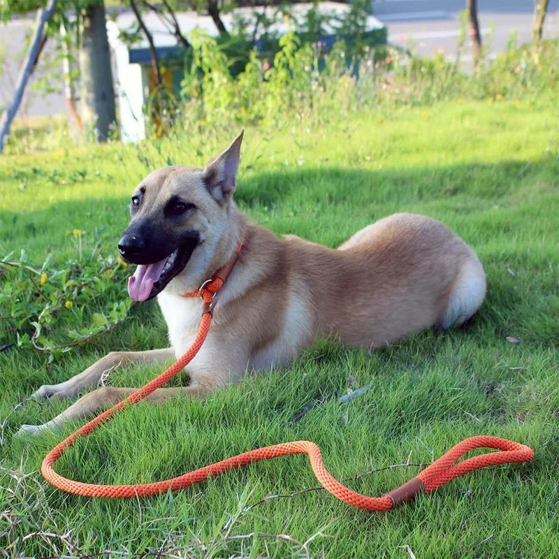 Dog Collar Slip Lead Dog Leash Nylon Solid Rope Leash Adjustable No Pull Training Dog Leash Medium And Large Dogs Pet Leashes Dog Collar Slip Lead Dog Leash Nylon Solid Rope Leash Adjustable No Pull Training Dog Leash Medium And Large Dogs Pet Leashes