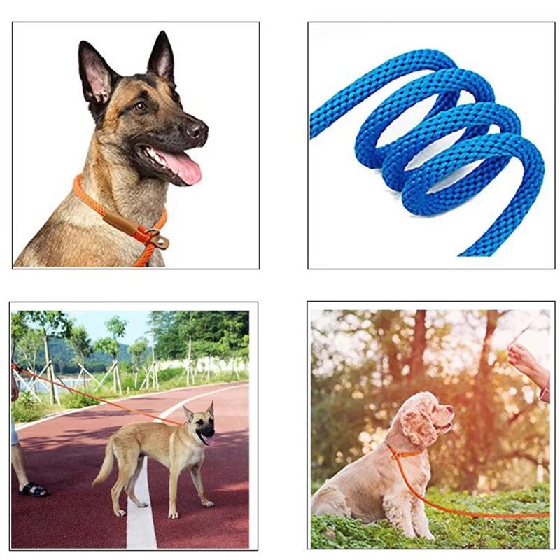 Dog Collar Slip Lead Dog Leash Nylon Solid Rope Leash Adjustable No Pull Training Dog Leash Medium And Large Dogs Pet Leashes Dog Collar Slip Lead Dog Leash Nylon Solid Rope Leash Adjustable No Pull Training Dog Leash Medium And Large Dogs Pet Leashes