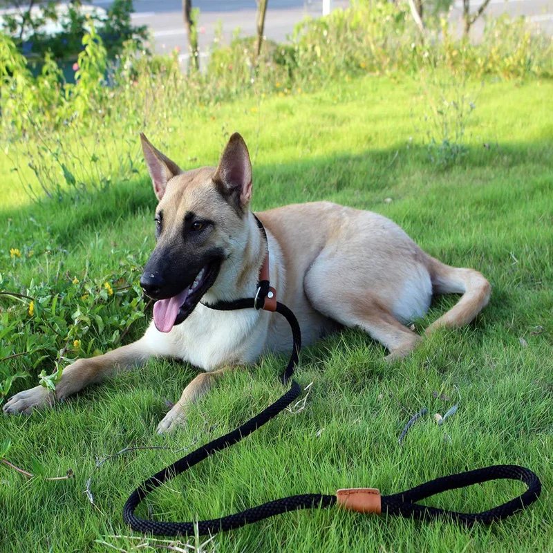 Dog Collar Slip Lead Dog Leash Nylon Solid Rope Leash Adjustable No Pull Training Dog Leash Medium And Large Dogs Pet Leashes Dog Collar Slip Lead Dog Leash Nylon Solid Rope Leash Adjustable No Pull Training Dog Leash Medium And Large Dogs Pet Leashes