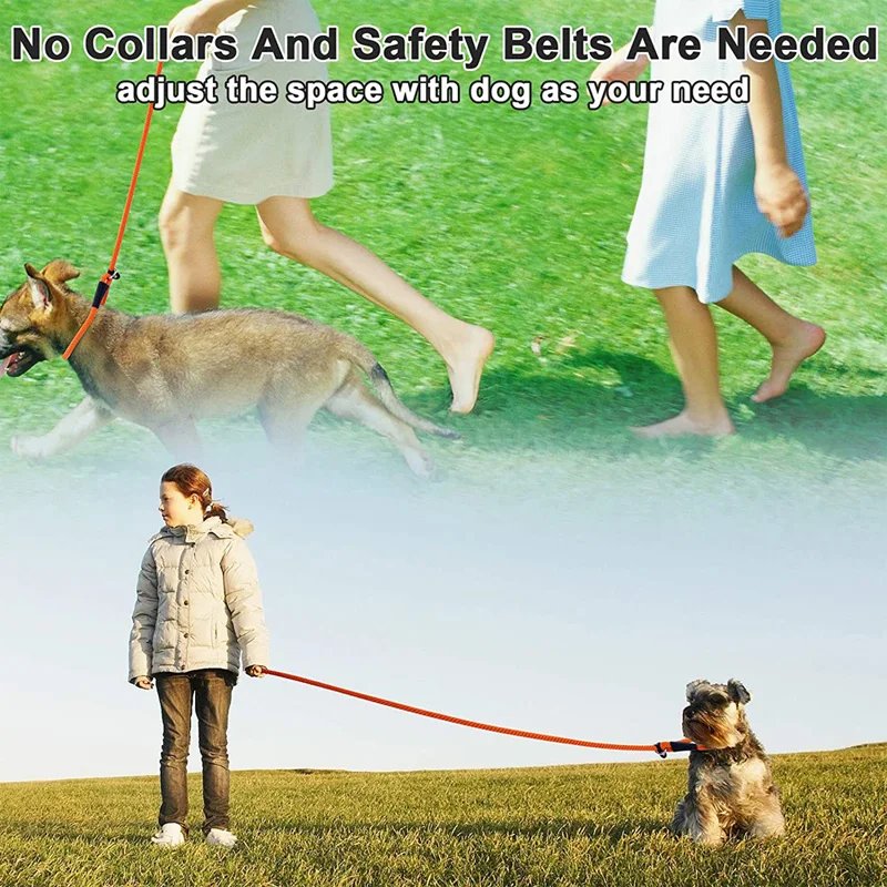 Dog Collar Slip Lead Dog Leash Nylon Solid Rope Leash Adjustable No Pull Training Dog Leash Medium And Large Dogs Pet Leashes Dog Collar Slip Lead Dog Leash Nylon Solid Rope Leash Adjustable No Pull Training Dog Leash Medium And Large Dogs Pet Leashes