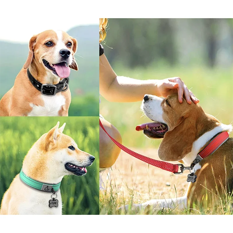 Padded Dog Collars for small Medium large Dogs Reflective Wide Pet Collars Adjustable Heavy Duty Nylon Neoprene Dog Collar Padded Dog Collars for small Medium large Dogs Reflective Wide Pet Collars Adjustable Heavy Duty Nylon Neoprene Dog Collar