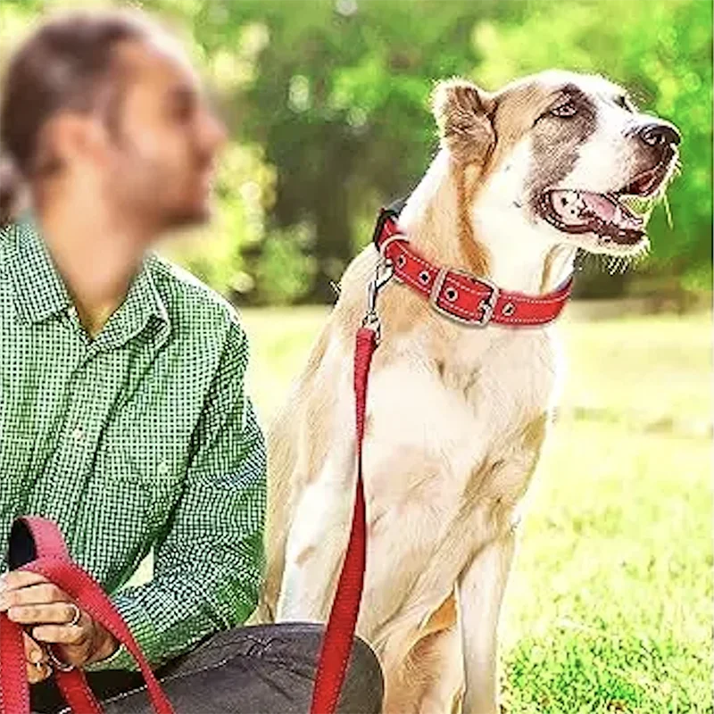 Padded Dog Collars for small Medium large Dogs Reflective Wide Pet Collars Adjustable Heavy Duty Nylon Neoprene Dog Collar Padded Dog Collars for small Medium large Dogs Reflective Wide Pet Collars Adjustable Heavy Duty Nylon Neoprene Dog Collar