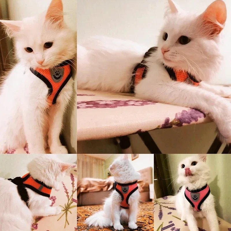 Cat Harness Vest Walking Lead Leash For Puppy Dogs Collar Polyester Adjustable Mesh Dog Harness For Small Medium Pet Accessories Cat Harness Vest Walking Lead Leash For Puppy Dogs Collar Polyester Adjustable Mesh Dog Harness For Small Medium Pet Accessories