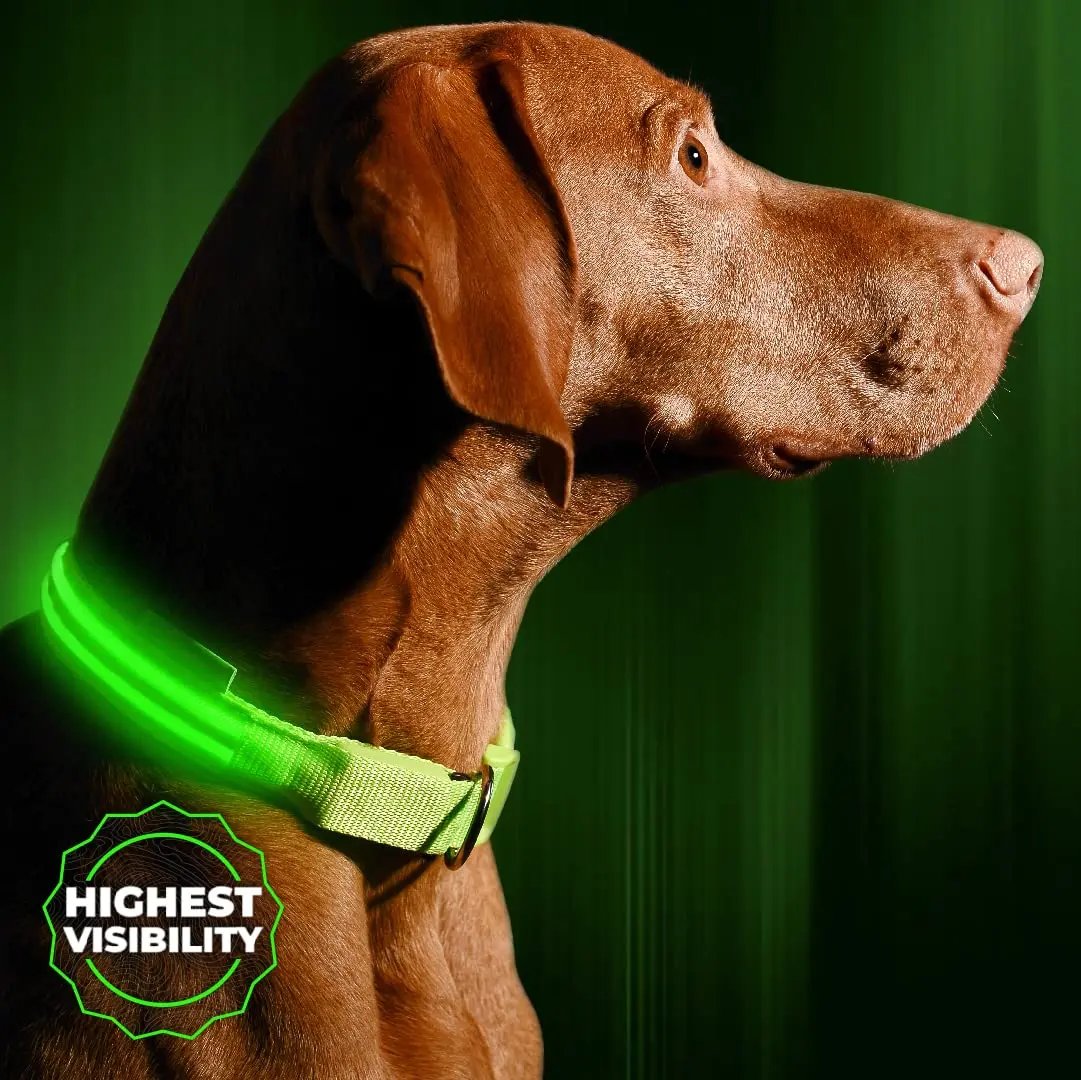 Vizpet LED Dog Collar, Light Up Dog Collar Adjustable USB Rechargeable Super Bright Safety Light Glowing Collars for Dogs Vizpet LED Dog Collar, Light Up Dog Collar Adjustable USB Rechargeable Super Bright Safety Light Glowing Collars for Dogs
