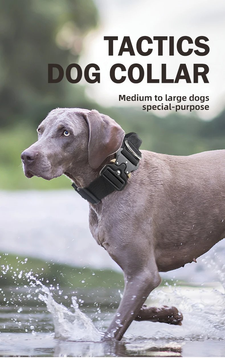 Tactical Dog Collar Rugged Zinc Alloy Buckle Outdoor Walks Dogs Collars Soft Lining Collar for Medium Big Dogs Pet Accessories Tactical Dog Collar Rugged Zinc Alloy Buckle Outdoor Walks Dogs Collars Soft Lining Collar for Medium Big Dogs Pet Accessories