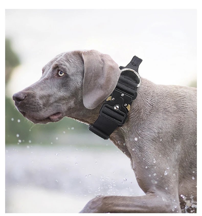 Tactical Dog Collar Rugged Zinc Alloy Buckle Outdoor Walks Dogs Collars Soft Lining Collar for Medium Big Dogs Pet Accessories Tactical Dog Collar Rugged Zinc Alloy Buckle Outdoor Walks Dogs Collars Soft Lining Collar for Medium Big Dogs Pet Accessories