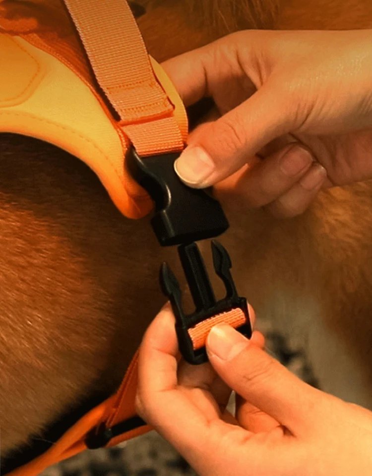 Dog Collar Harness for Medium Large Dogs Explosion-proof Punch Breathable Adjustable Pet Harness Vest Outdoor Outdoor Training