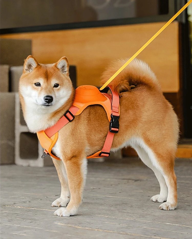 Dog Collar Harness for Medium Large Dogs Explosion-proof Punch Breathable Adjustable Pet Harness Vest Outdoor Outdoor Training