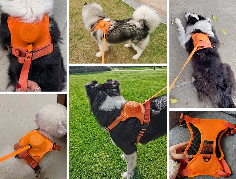 Dog Collar Harness for Medium Large Dogs Explosion-proof Punch Breathable Adjustable Pet Harness Vest Outdoor Outdoor Training