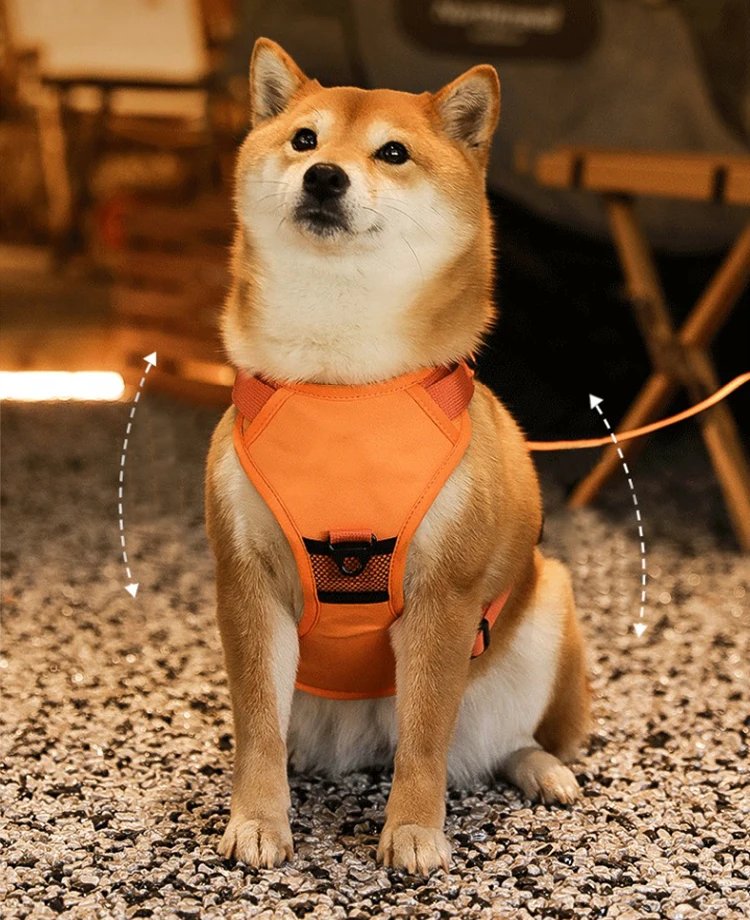 Dog Collar Harness for Medium Large Dogs Explosion-proof Punch Breathable Adjustable Pet Harness Vest Outdoor Outdoor Training
