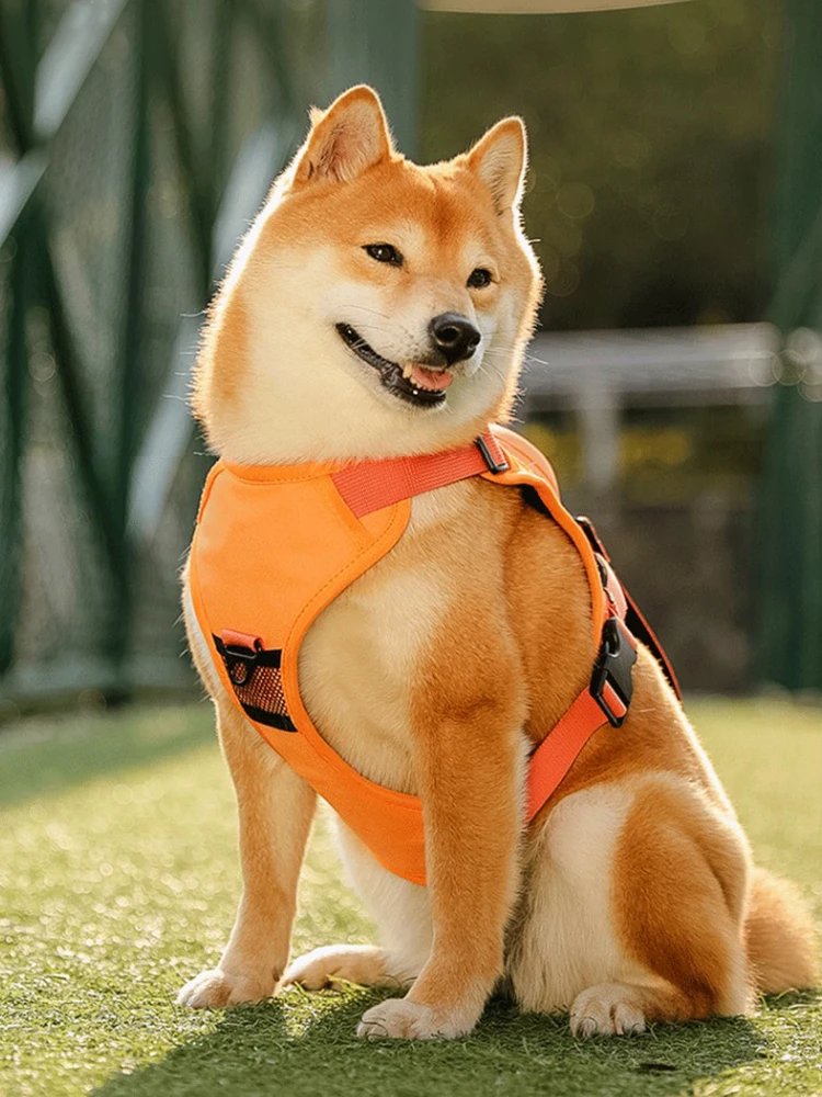 Dog Collar Harness for Medium Large Dogs Explosion-proof Punch Breathable Adjustable Pet Harness Vest Outdoor Outdoor Training