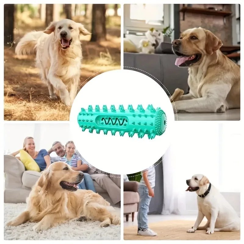 Dog chew toy dog toothbrush stick, teeth cleaning brush, soft dog chew toy suitable for small and medium-sized dogs, puppies