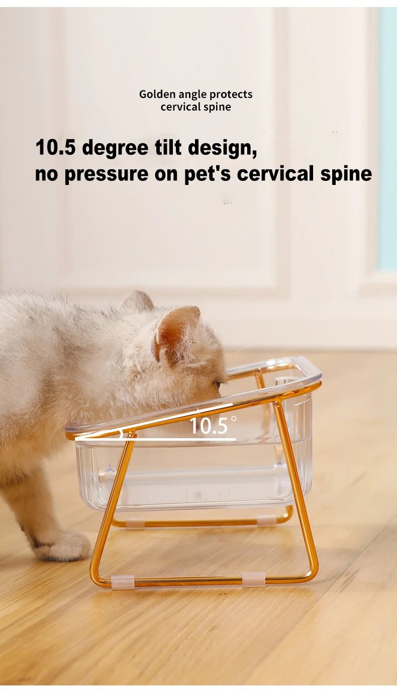 Pet Double Bowl Transparent High Foot Cat Bowl Drink water Cat Food With Golden Stand Raised Water Feeder Dog Bowl Supplies