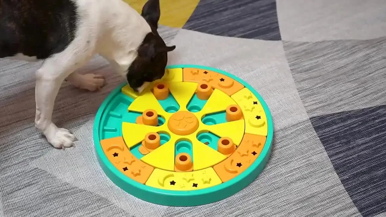 3in1 Interactive Dog Puzzle Toys - Fun Slow Feeder Brain Education Treat Puzzles with IQ Squeak Design - Educational Dog Toys